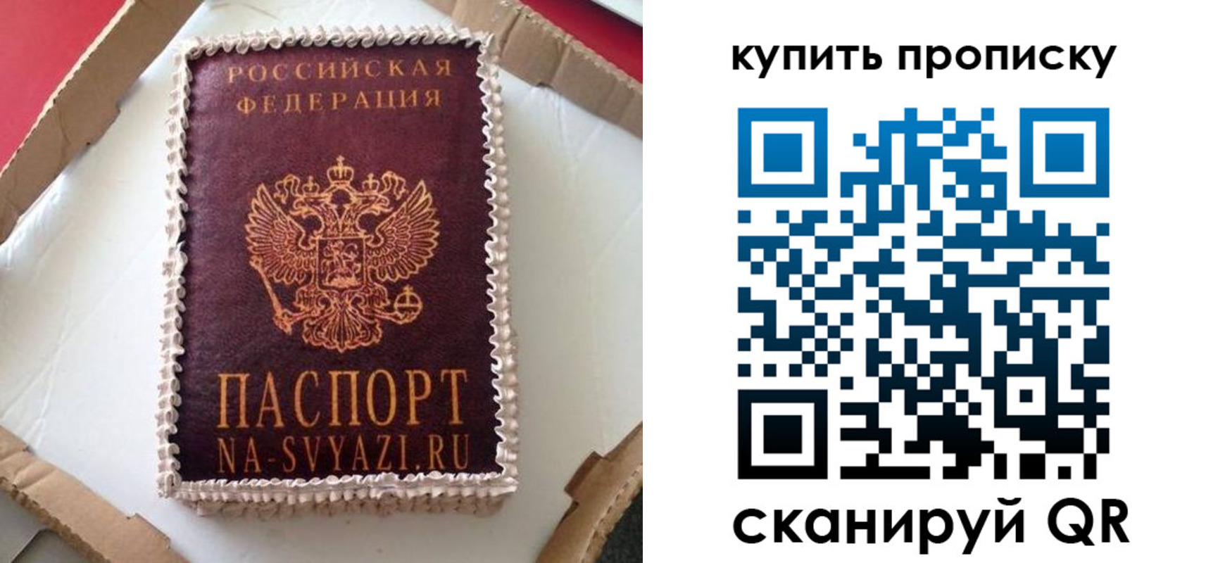 прописка штамп в Луге